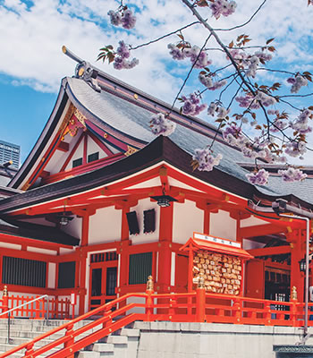 日本專(zhuān)線(xiàn) 日本專(zhuān)線(xiàn)