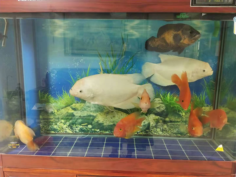 公司景觀 公司景觀