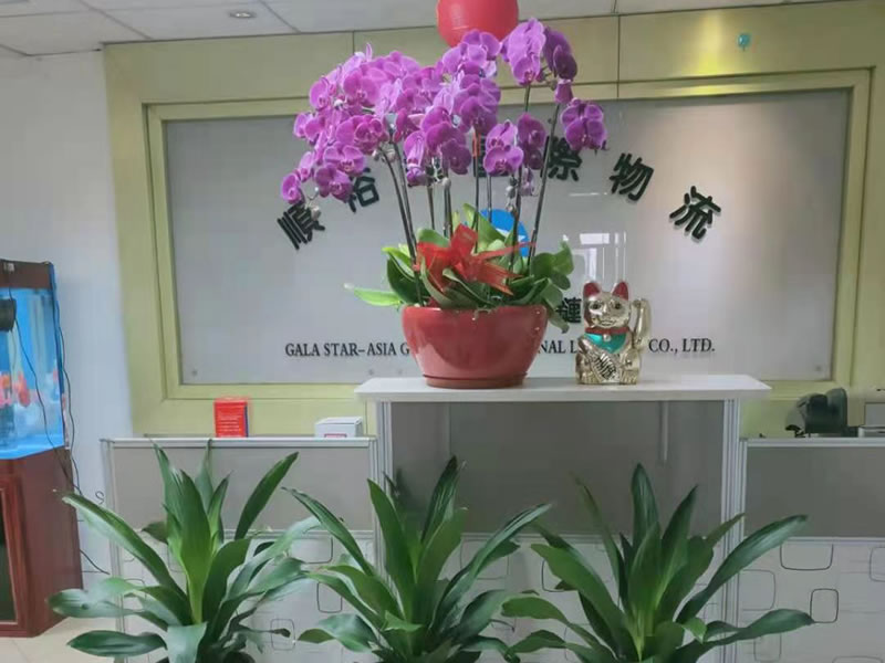 前臺(tái) 前臺(tái)